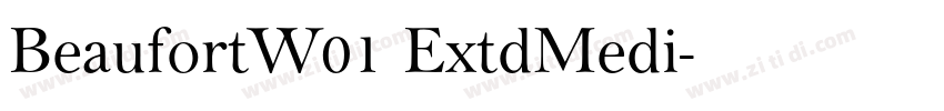 BeaufortW01 ExtdMedi字体转换